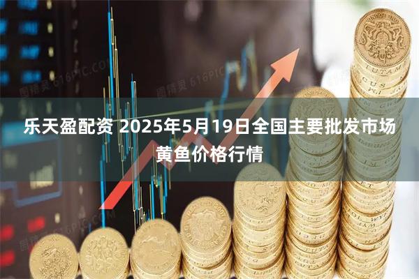 乐天盈配资 2025年5月19日全国主要批发市场黄鱼价格行情