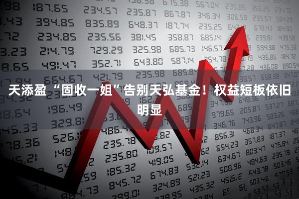 天添盈 “固收一姐”告别天弘基金！权益短板依旧明显